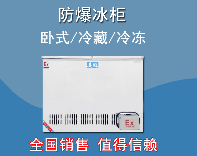 英鵬防爆臥式冰箱，存放油漆防爆冰箱BL-200