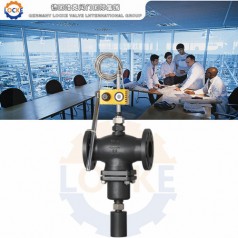 進口自力式冷卻型溫度調節(jié)閥性能參數(shù),報價/價格,圖片