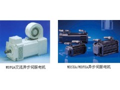 德國(guó)倫茨交流伺服電機(jī)