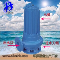 WQ0.75廠家直銷鑄鐵電動潛水排污泵 環(huán)保污水處理泵沉淀池用泵