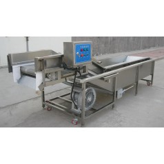 油菜氣泡清洗機(jī)，小白菜氣泡清洗機(jī)