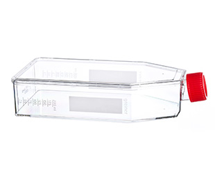 貼壁細(xì)胞培養(yǎng)瓶（TC處理，滅菌）661160 175cm&#178;，最大容積650ml（high）