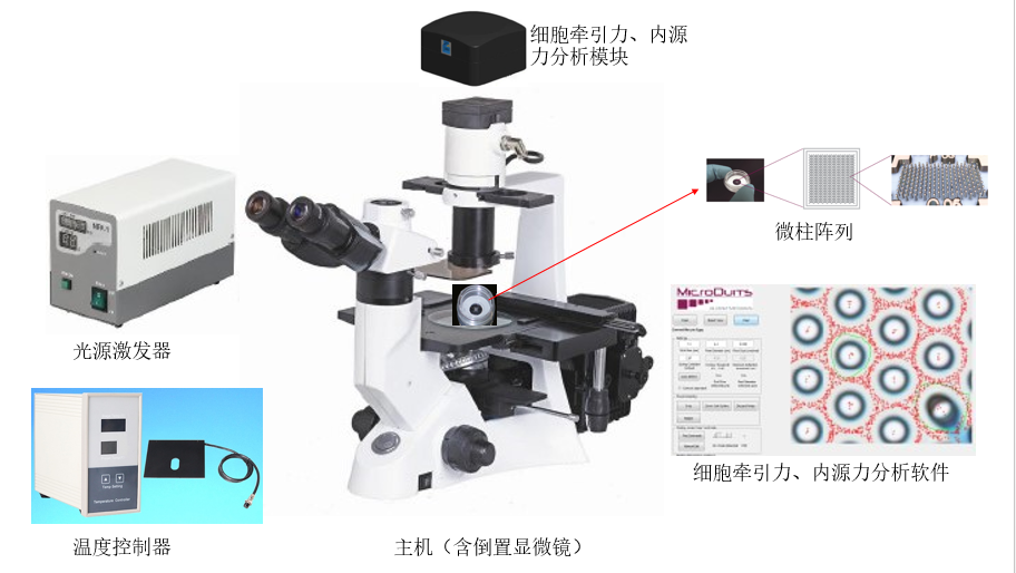 Labomed代理,LB702，+ 細(xì)胞牽引力顯微鏡 +cell mechanics analyze