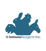 ImmunoReagents開(kāi)發(fā)親和純化二抗