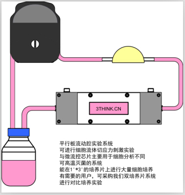 BIOCUL-S100流體細胞剪切力系統(tǒng) 細胞流體切應(yīng)力 流動中的動態(tài)細胞培養(yǎng)