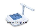 北京西化儀溶解氧測(cè)定儀BTYQ-BANTE980廠(chǎng)家報(bào)價(jià)