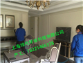 專業(yè)快速除甲醛除味公司，上海新裝修快速除甲醛公司，上海綠代環(huán)保lvdai-2280